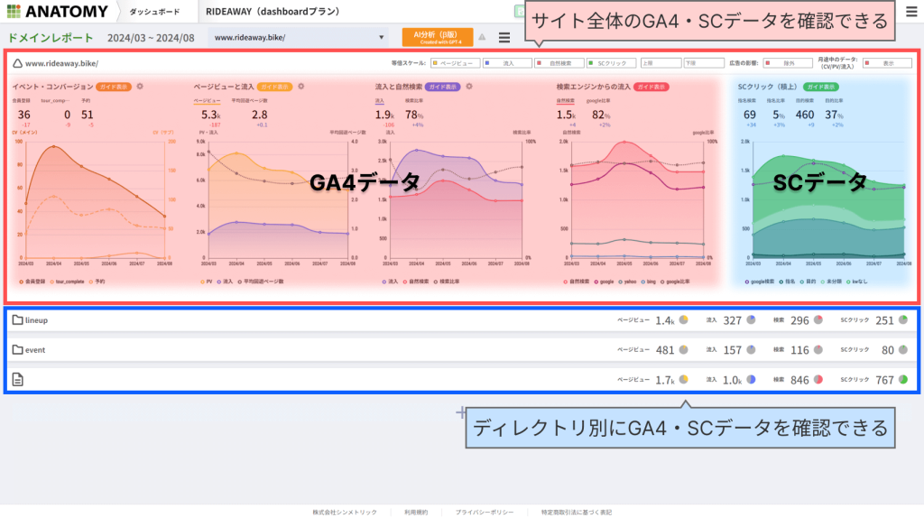 Webサイト分析ツール「アナトミー」のドメインレポート画面