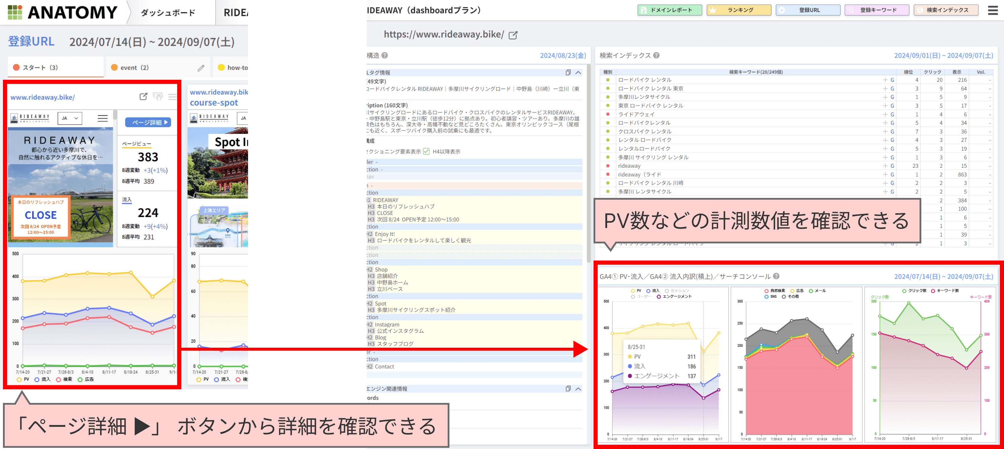 Webサイト分析ツール「アナトミー」で注目ページを確認する